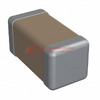 1206Y1K50561JXT Image